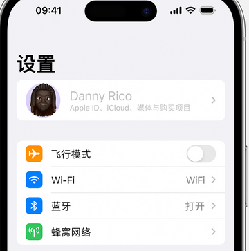 宿豫appleID维修服务iPhone设置中Apple ID显示为灰色无法使用