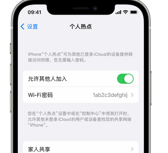 宿豫apple服务站点分享iPhone上个人热点丢失了怎么办