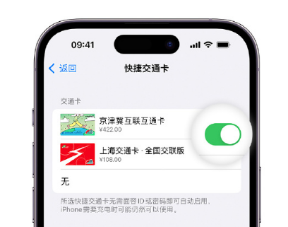 宿豫apple维修点分享iPhone上更换Apple Pay快捷交通卡手绘卡面 