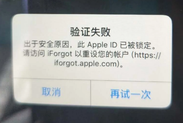 宿豫iPhone维修分享iPhone上正常登录或使用AppleID怎么办 