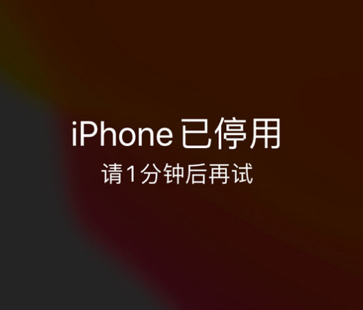 宿豫苹果手机维修分享:iPhone 显示“不可用”或“已停用”怎么办？还能保留数据吗？ 