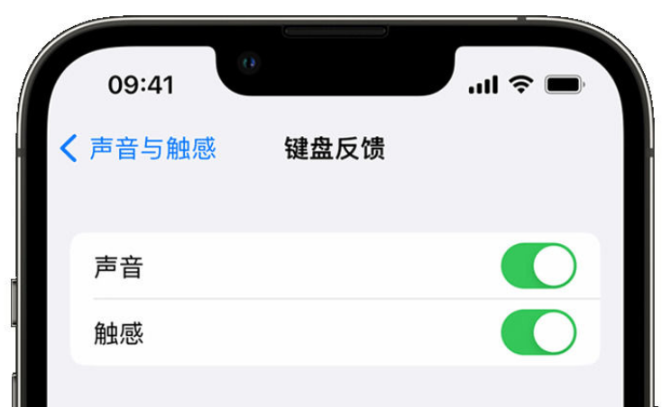 宿豫苹果手机维修分享iPhone 14触感键盘使用方法 