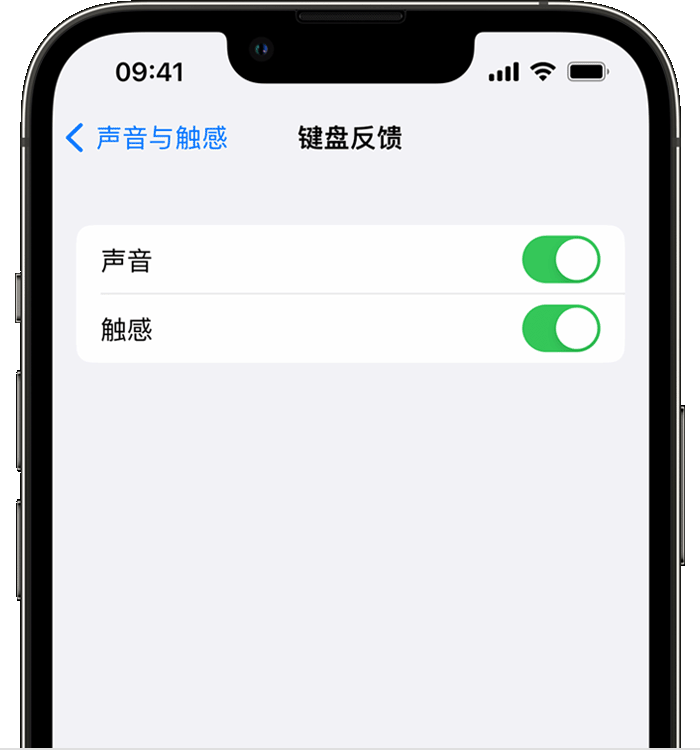 宿豫苹果14维修店分享如何在 iPhone 14 机型中使用触感键盘 