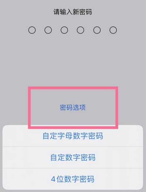 宿豫苹果14维修分享iPhone 14plus设置密码的方法 