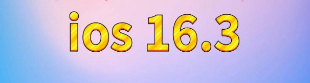 宿豫苹果服务网点分享苹果iOS16.3升级反馈汇总 