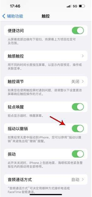 宿豫苹果手机维修分享iPhone手机如何设置摇一摇删除文字 