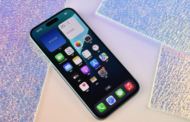 宿豫苹果手机维修分享为什么大家不喜欢苹果iPhone 16 Plus 